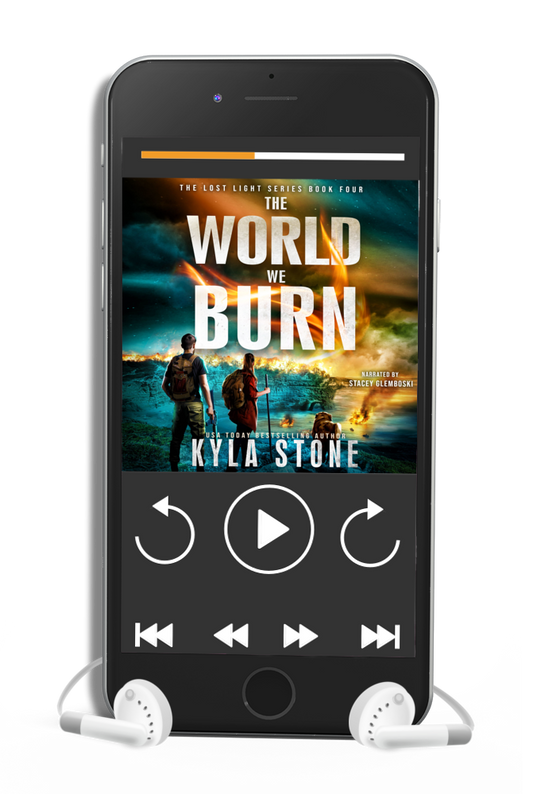 The World We Burn: Lost Light Book Four